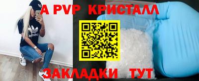 стафф Кандалакша
