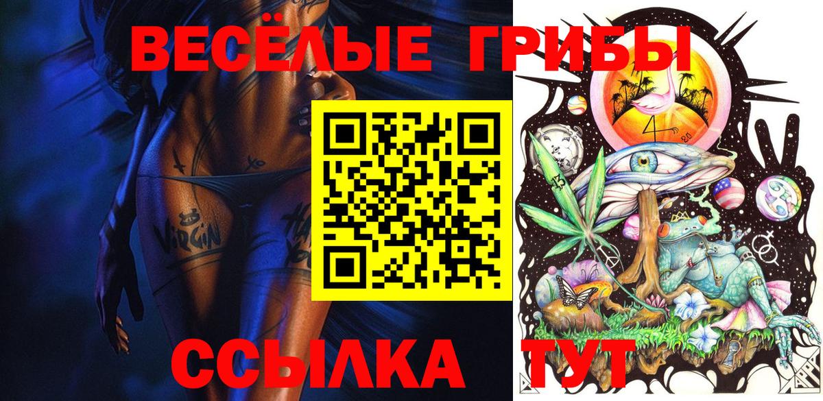 Галлюциногенные грибы мицелий Курган