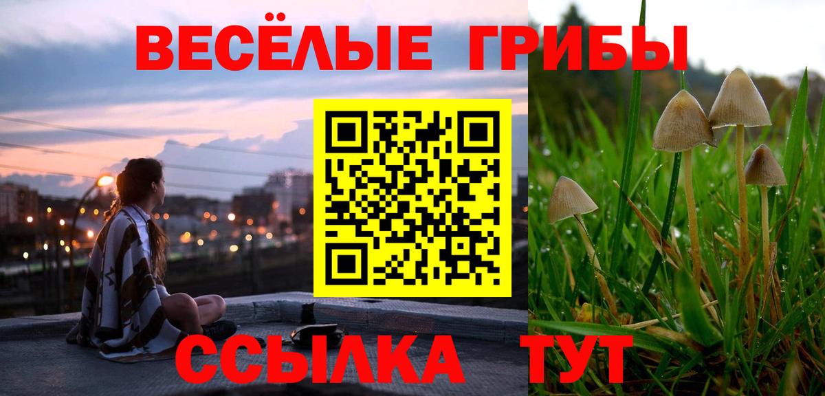 Курган  Псилоцибиновые грибы мицелий  Вход с VPN  Псилоцибиновые грибы ЛСД 