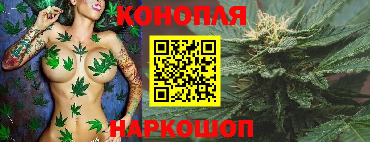 Марихуана SATIVA & INDICA Курган
